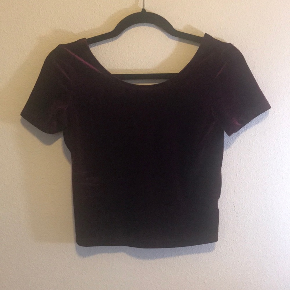 EUC  dark red velvet crop top
